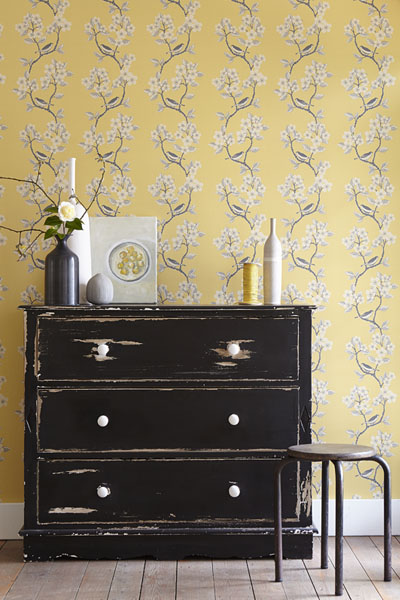 Song Birds - Wall Covering - Buttercup behind antique drawers