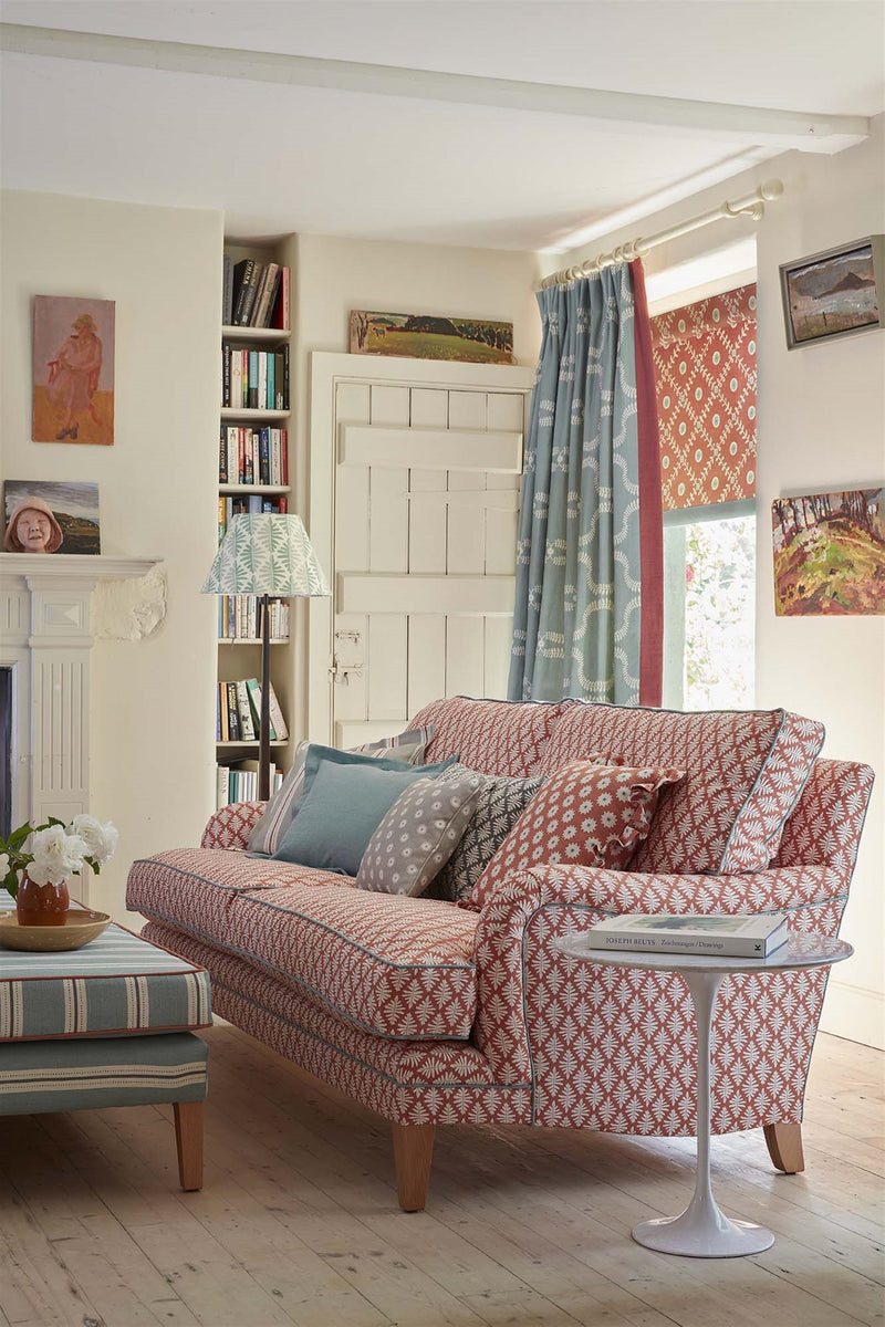 The Study
