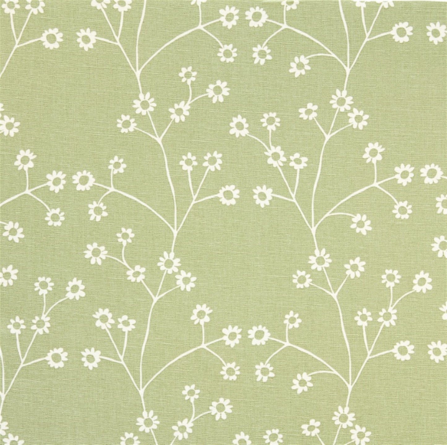 Dainty Daisy - Field Green