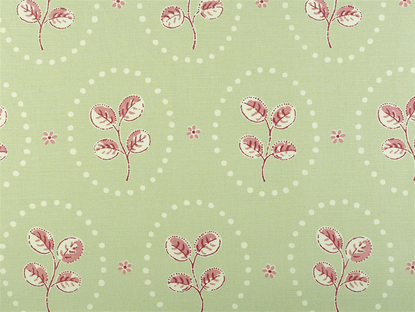 Down to Earth - Apple Green, Raspberry