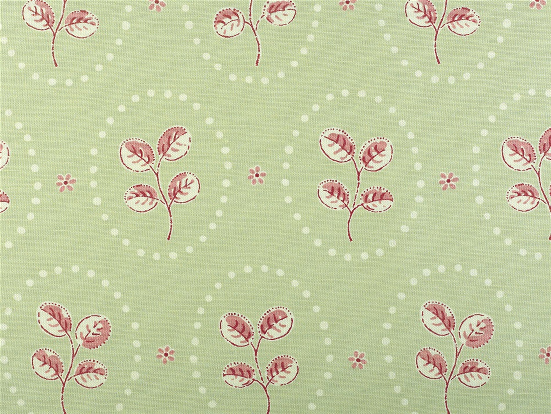 Down to Earth - Apple Green, Raspberry