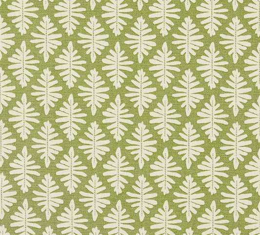Little Fern - Moss