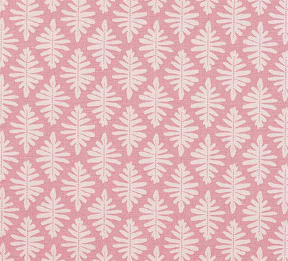 Little Fern - Lily Pink