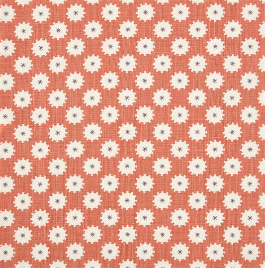 May Blossom - Light Peach, Charcoal