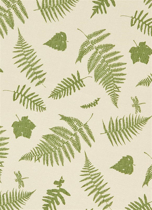 Woodland Walk - Moss