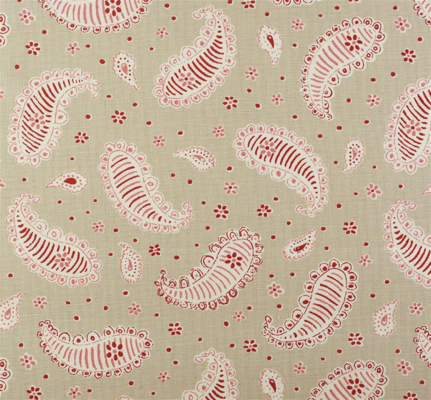 Paisley Ground - Limestone, Raspberry - Cut Lengths