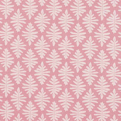 Little Fern - Lily Pink