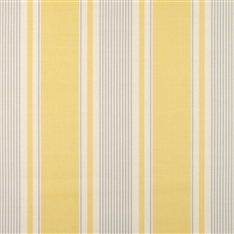 French Ticking - Buttercup, Clay