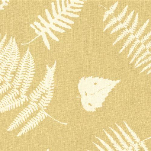 Fern and Dragonfly - Hay