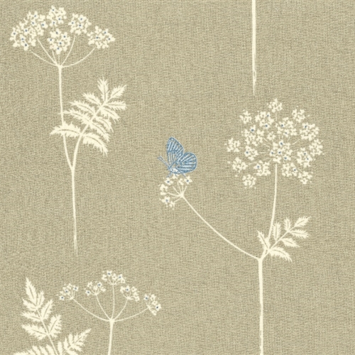 Cow Parsley  - Stone, Cornflower - Cut Lengths