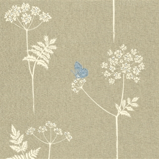 Cow Parsley  - Stone, Cornflower - Cut Lengths