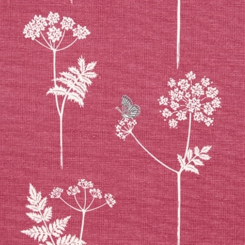 Cow Parsley  - Damson, Charcoal - Cut Lengths