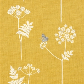 Cow Parsley  - Saffron, Charcoal - Cut Lengths
